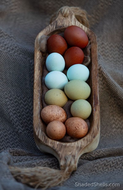 Colorful eggs in a wooden tray